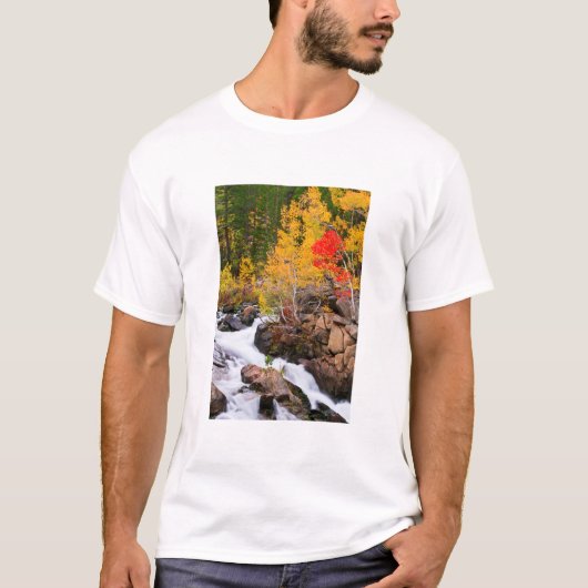 Herbstfarbe entlang Bischof Creek, CA T-Shirt (Vorderseite)