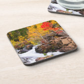 Herbstfarbe entlang Bischof Creek, CA Untersetzer (Linke Seite)