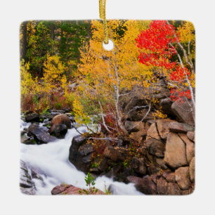 Herbstfarbe entlang Bishop Creek, CA Keramikornament