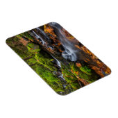 Herbstfarbe entlang der Crewfälle von Starvation Magnet (Rechte Seite)