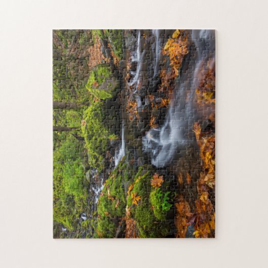 Herbstfarbe entlang der Crewfälle von Starvation Puzzle (Vertikal)