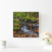 Herbstfarbe entlang der Crewfälle von Starvation Quadratische Wanduhr (Zuhause)