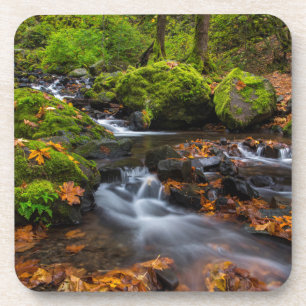 Herbstfarbe entlang der Starvation Creek Falls Untersetzer
