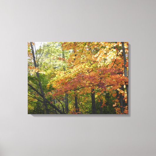Herbstfarbe / Herbstlemme Leinwanddruck (Vorderseite)