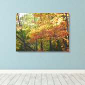 Herbstfarbe / Herbstlemme Leinwanddruck (Insitu (Holzboden))