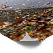 Herbstfarbe im Braunen Landkreis Staat Park Poster (Ecke)