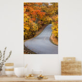 Herbstfarbe im Braunen Landkreis Staat Park Poster (Küche)