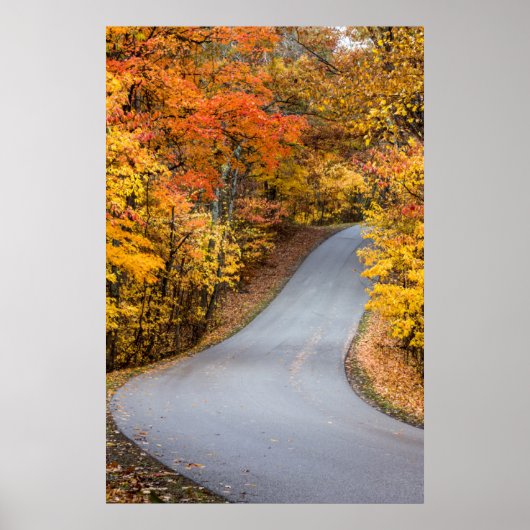 Herbstfarbe im Braunen Landkreis Staat Park Poster (Vorne)