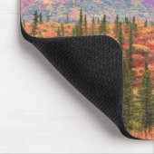 Herbstfarbe im Nationalpark Denali Mousepad (Ecke)