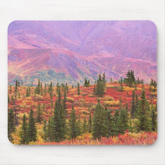Herbstfarbe im Nationalpark Denali Mousepad (Vorne)