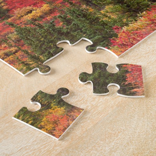 Herbstfarbe im Nationalpark Denali Puzzle (Seite)