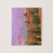 Herbstfarbe im Nationalpark Denali Puzzle (Vertikal)