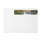 Herbstfarbe im Ohiopyle Staat Park (Rückseite)