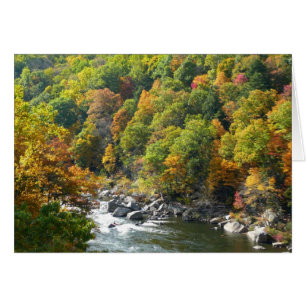 Herbstfarbe im Ohiopyle Staat Park