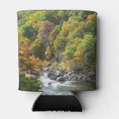 Herbstfarbe im Ohiopyle Staat Park Dosenkühler (Rückseite)