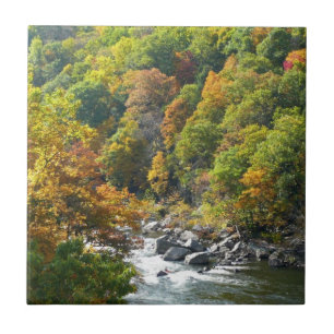 Herbstfarbe im Ohiopyle Staat Park Fliese