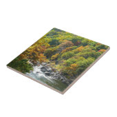 Herbstfarbe im Ohiopyle Staat Park Fliese (Seite)