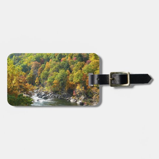 Herbstfarbe im Ohiopyle Staat Park Gepäckanhänger (Vorderseite horizontal)