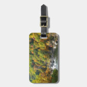 Herbstfarbe im Ohiopyle Staat Park Gepäckanhänger (Vorderseite vertikal)