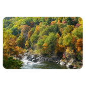 Herbstfarbe im Ohiopyle Staat Park Magnet (Horizontal)