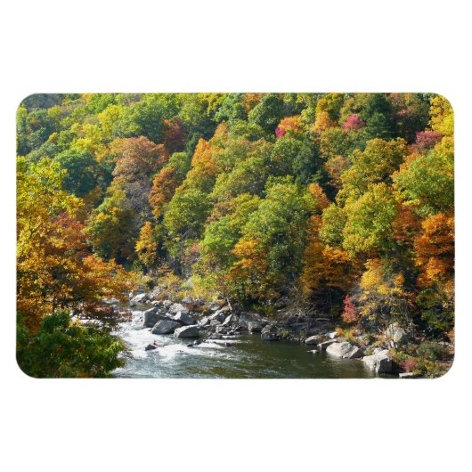 Herbstfarbe im Ohiopyle Staat Park Magnet (Horizontal)