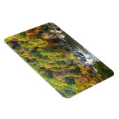 Herbstfarbe im Ohiopyle Staat Park Magnet (Rechte Seite)