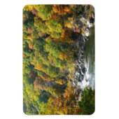 Herbstfarbe im Ohiopyle Staat Park Magnet (Vertikal)