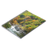 Herbstfarbe im Ohiopyle Staat Park Notizblock (Linke Seite)