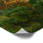 Herbstfarbe im Ohiopyle Staat Park Poster (Ecke)