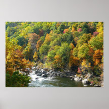 Herbstfarbe im Ohiopyle Staat Park