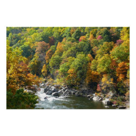 Herbstfarbe im Ohiopyle Staat Park Poster