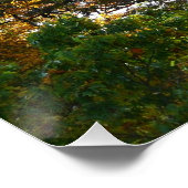 Herbstfarbe im Ohiopyle Staat Park Poster (Ecke)