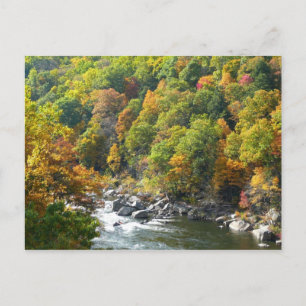 Herbstfarbe im Ohiopyle Staat Park Postkarte