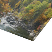 Herbstfarbe im Ohiopyle Staat Park Schneidebrett (Ecke)