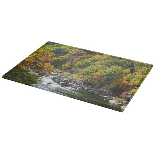 Herbstfarbe im Ohiopyle Staat Park Schneidebrett (Ecke)