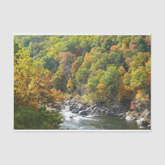 Herbstfarbe im Ohiopyle Staat Park Seidenpapier (Vorderseite)