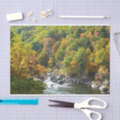 Herbstfarbe im Ohiopyle Staat Park Seidenpapier (Handwerk)