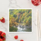 Herbstfarbe im Ohiopyle Staat Park Serviette (Beispiel)