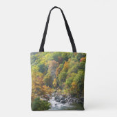 Herbstfarbe im Ohiopyle Staat Park Tasche (Rückseite)