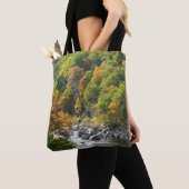 Herbstfarbe im Ohiopyle Staat Park Tasche (Von Nahem)