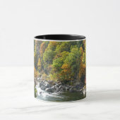 Herbstfarbe im Ohiopyle Staat Park Tasse (Zentrum)