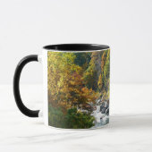Herbstfarbe im Ohiopyle Staat Park Tasse (Links)