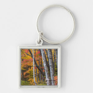 Herbstfarbe im Wald bei Copper Harbor Schlüsselanhänger