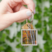 Herbstfarbe in der Nähe des Hafens von Kupfer Schlüsselanhänger (Hand)