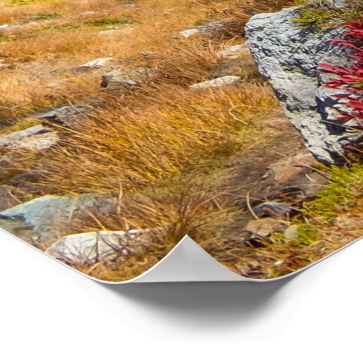 Herbstfarbe in Nordkaskaden Poster (Ecke)