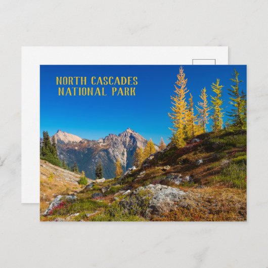 Herbstfarbe in Nordkaskaden Postkarte (Vorne/Hinten)