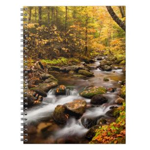 Herbstfarbe Jefferson Brook White Mountains Notizblock