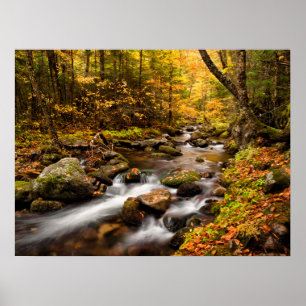 Herbstfarbe Jefferson Brook   White Mountains Poster