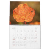 Herbstfarbe Kalender (Mär 2027)