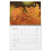 Herbstfarbe Kalender (Feb 2027)